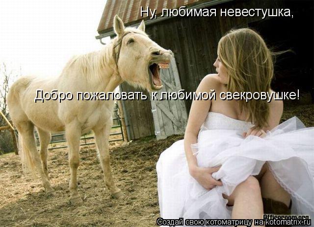 Котоматрица: Ну, любимая невестушка, Добро пожаловать к любимой свекровушке!