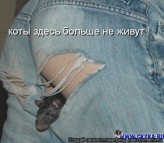 Котоматрица: коты здесь больше не живут !