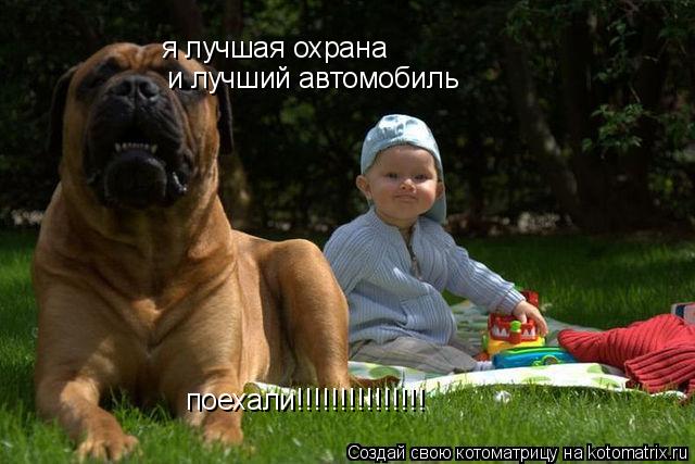 Котоматрица: я лучшая охрана и лучший автомобиль поехали!!!!!!!!!!!!!!!
