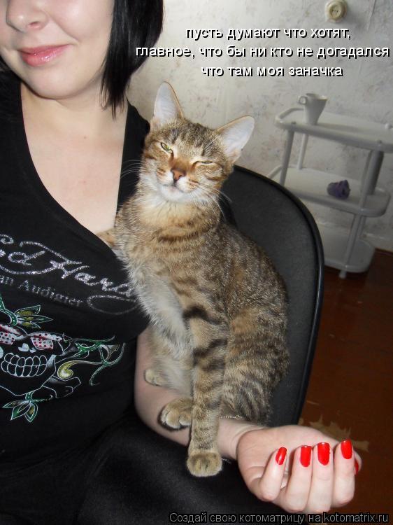 Котоматрица: пусть думают что хотят, главное, что бы ни кто не догадался что там моя заначка