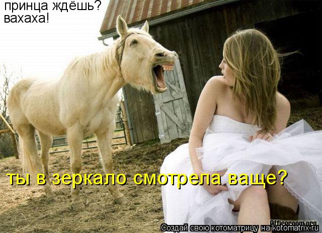 Котоматрица: принца ждёшь? вахаха! ты в зеркало смотрела ваще?