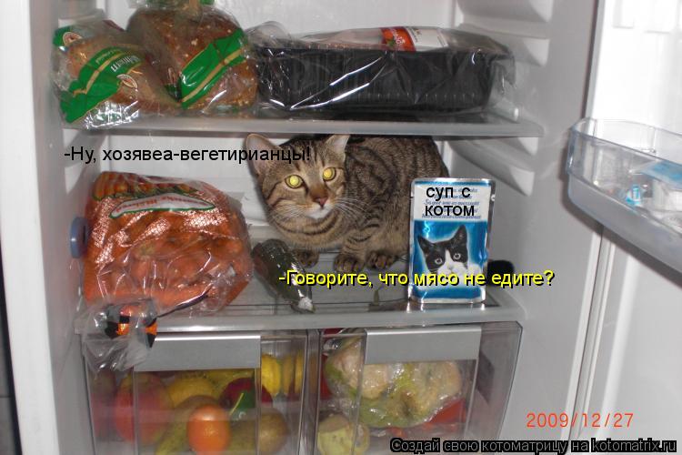 Котоматрица: суп с котом -Ну, хозявеа-вегетирианцы! -Говорите, что мясо не едите?