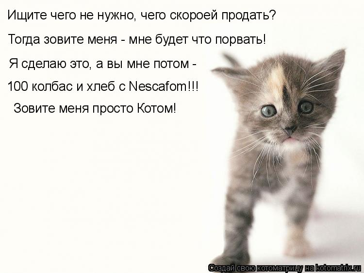 Котоматрица: Ищите чего не нужно, чего скороей продать? Тогда зовите меня - мне будет что порвать! Я сделаю это, а вы мне потом - 100 колбас и хлеб с Nescafom!!! З