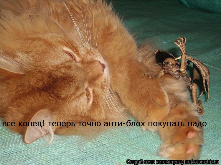 Котоматрица: все конец! теперь точно анти-блох покупать надо