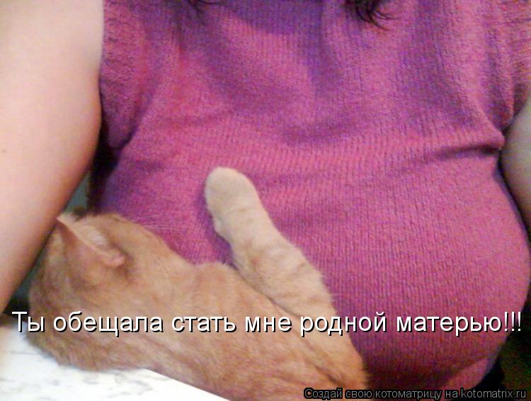 Котоматрица: Ты обещала стать мне родной матерью!!!