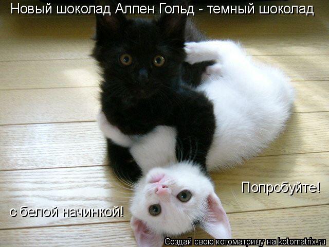 Котоматрица: Новый шоколад Алпен Гольд - темный шоколад  с белой начинкой! Попробуйте!