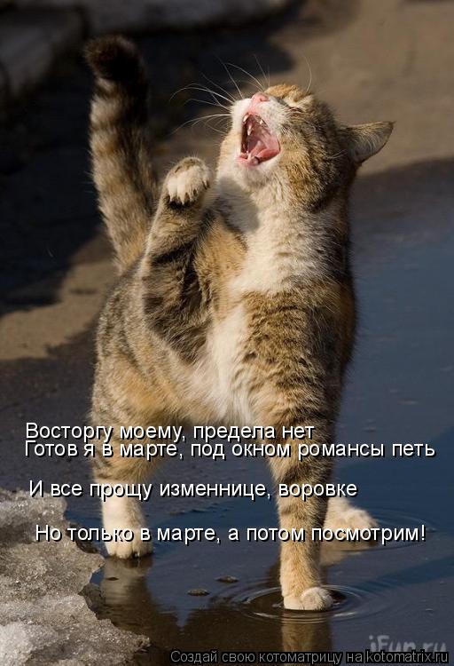 Котоматрица: Восторгу моему, предела нет Готов я в марте, под окном романсы петь И все прощу изменнице, воровке Но только в марте, а потом посмотрим!