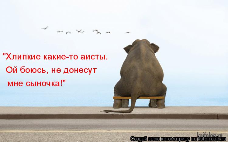 "Хлипкие какие-то аисты. Ой боюсь, не донесут мне сыночка!"... Котоматрица: "Хлипкие какие-то аисты. Ой боюсь, не донесут мне сыночка!"