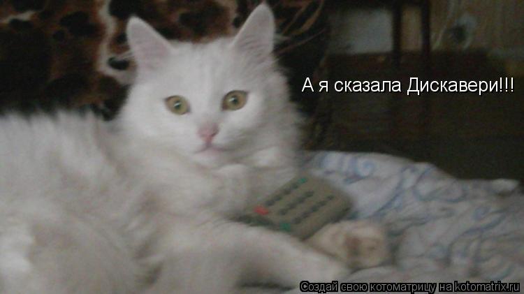 Котоматрица: А я сказала Дискавери!!!