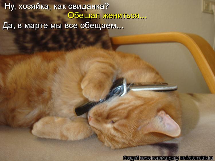 Котоматрица: Ну, хозяйка, как свиданка? Обещал жениться... Да, в марте мы все обещаем...