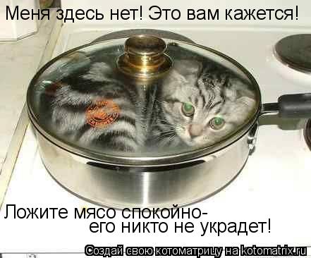 Котоматрица: Меня здесь нет! Это вам кажется! Ложите мясо спокойно- его никто не украдет!