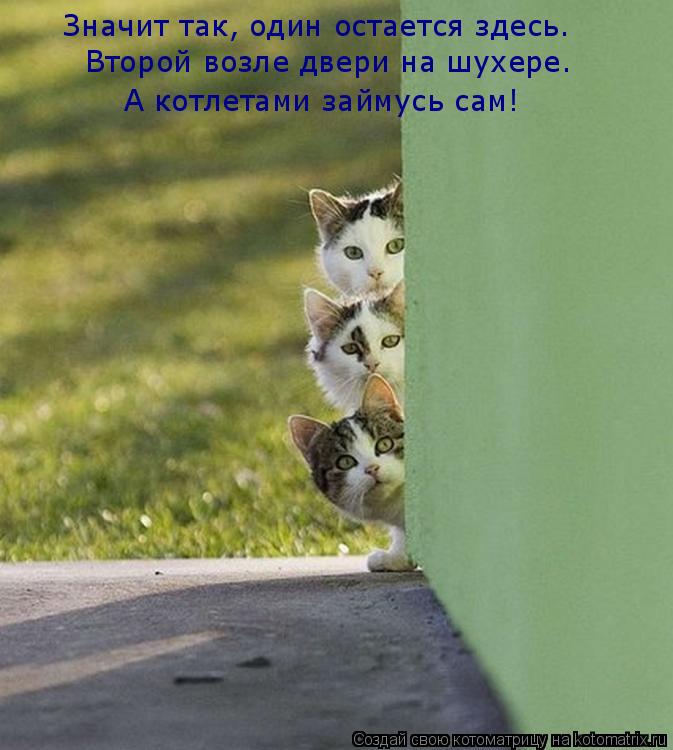 Котоматрица: Значит так, один остается здесь. Второй возле двери на шухере. А котлетами займусь сам!