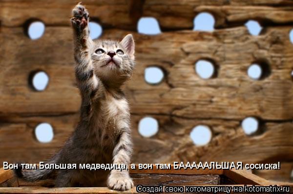 Котоматрица: Вон там Большая медведица, а вон там БАААААЛЬШАЯ сосиска!