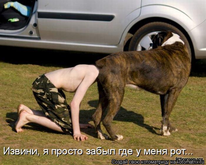 Котоматрица: Извини, я просто забыл где у меня рот...