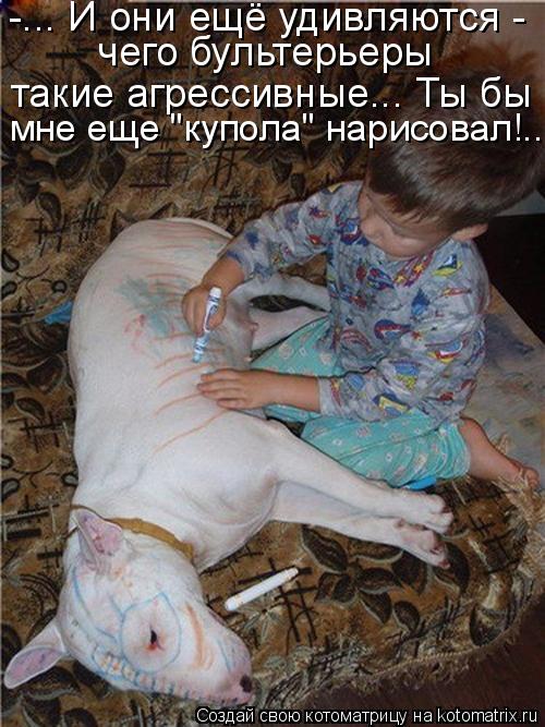 Котоматрица: -... И они ещё удивляются -   чего бультерьеры такие агрессивные... Ты бы мне еще "купола" нарисовал!..