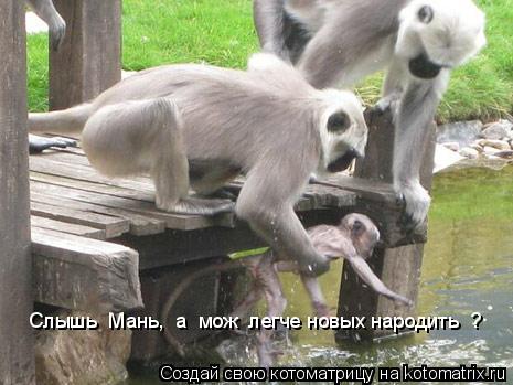 Котоматрица: Слышь  Мань,  а  мож  легче новых народить  ?