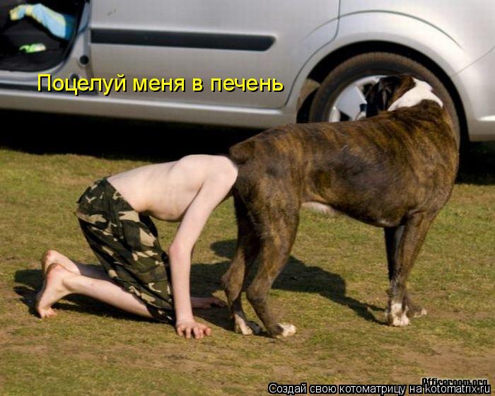 Котоматрица: Поцелуй меня в печень