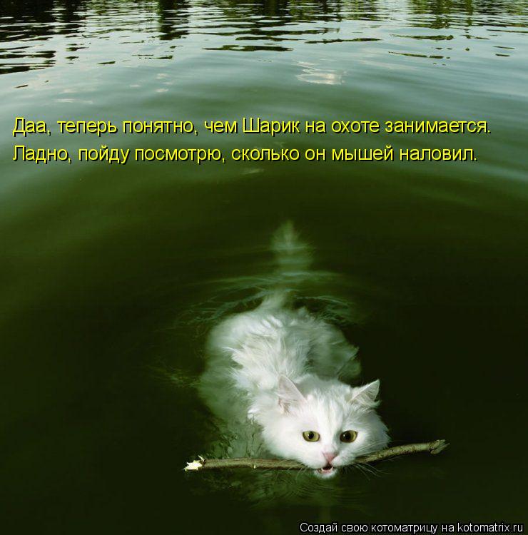 Котоматрица: Даа, теперь понятно, чем Шарик на охоте занимается. Ладно, пойду посмотрю, сколько он мышей наловил.