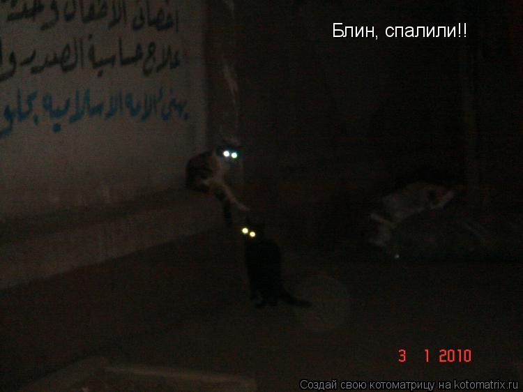 Котоматрица: Блин, спалили!!