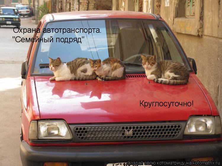 Котоматрица: Охрана автотранспорта.  Круглосуточно! "Семейный подряд"