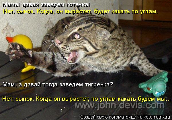 Мама! давай заведем котенка! Мам, а давай тогда заведем тигренка? Нет, сынок. Когда он вырастет, по у... Котоматрица: Мама! давай заведем котенка! Мам, а давай тогда заведем тигренка? Нет, сынок. Когда он вырастет, по углам какать будем мы... Нет, сынок. Когда, о