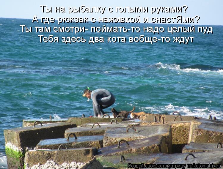 Ты на рыбалку с голыми руками? А где рюкзак с наживкой и снастЯми? Ты там смотри- поймать-то надо цел... Котоматрица: Ты на рыбалку с голыми руками? А где рюкзак с наживкой и снастЯми? Ты там смотри- поймать-то надо целый пуд Тебя здесь два кота вобще-то ждут