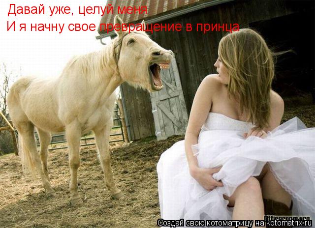 Котоматрица: Давай уже, целуй меня И я начну свое превращение в принца