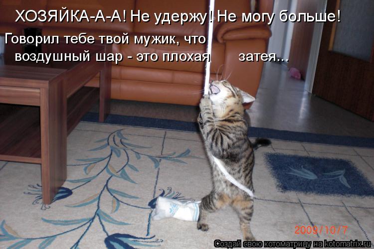 Котоматрица: ХОЗЯЙКА-А-А! Не удержу! Не могу больше! Говорил тебе твой мужик, что воздушный шар - это плохая       затея...