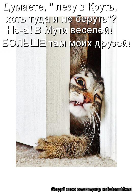 Думаете, " лезу в Круть, хоть туда и не беруть"? Не-а! В Мути веселей! БОЛЬШЕ там моих друзей!... Котоматрица: Думаете, " лезу в Круть, хоть туда и не беруть"? Не-а! В Мути веселей! БОЛЬШЕ там моих друзей!