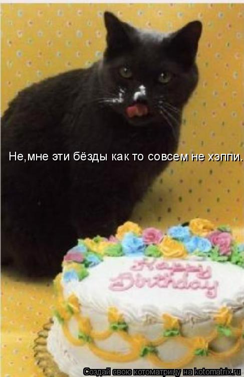 Котоматрица: Не,мне эти бёзды как то совсем не хэппи.