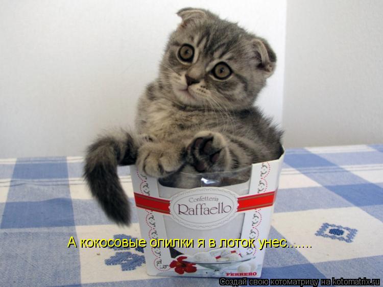 А кокосовые опилки я в лоток унес.......... Котоматрица: А кокосовые опилки я в лоток унес.......