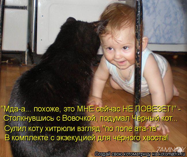 Котоматрица: "Мда-а... похоже, это МНЕ сейчас НЕ ПОВЕЗЕТ!" - Столкнувшись с Вовочкой, подумал Чёрный кот... Сулил коту хитрюли взгляд "по попе ата-та" В компле