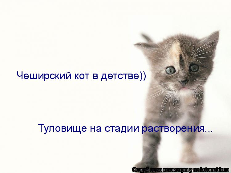 Чеширский кот в детстве)) Туловище на стадии растворения...... Котоматрица: Чеширский кот в детстве)) Туловище на стадии растворения...