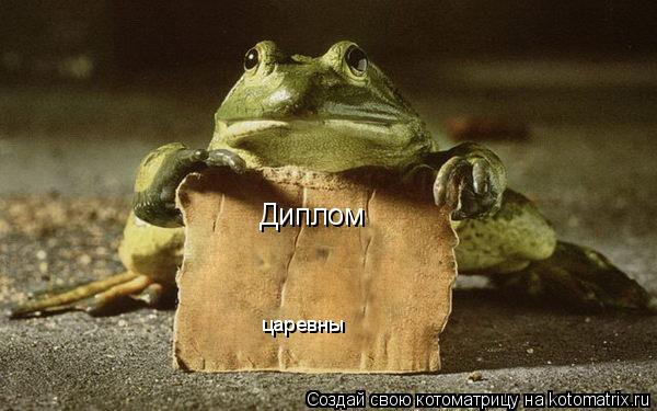 Диплом царевны... Котоматрица: Диплом царевны
