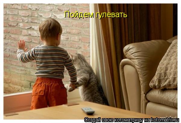 Котоматрица: Пойдем гулевать