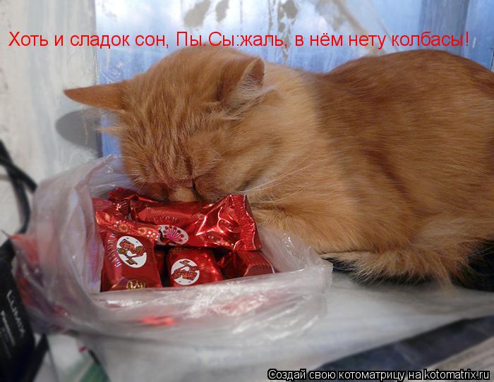 Хоть и сладок сон, Пы.Сы:жаль, в нём нету колбасы!... Котоматрица: Хоть и сладок сон, Пы.Сы:жаль, в нём нету колбасы!