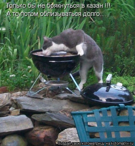 Только бы не брякнуться в казан !!! А то потом облизываться долго....... Котоматрица: Только бы не брякнуться в казан !!! А то потом облизываться долго....