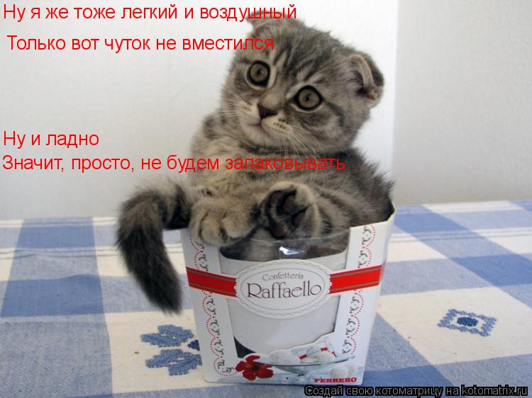 Ну я же тоже легкий и воздушный Только вот чуток не вместился Значит, просто, не будем запаковывать Н... Котоматрица: Ну я же тоже легкий и воздушный Только вот чуток не вместился Значит, просто, не будем запаковывать Ну и ладно