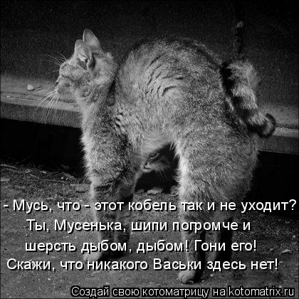 - Мусь, что - этот кобель так и не уходит? Ты, Мусенька, шипи погромче и шерсть дыбом, дыбом! Гони ... Котоматрица: - Мусь, что - этот кобель так и не уходит? Ты, Мусенька, шипи погромче и шерсть дыбом, дыбом! Гони его! Скажи, что никакого Васьки здесь нет!