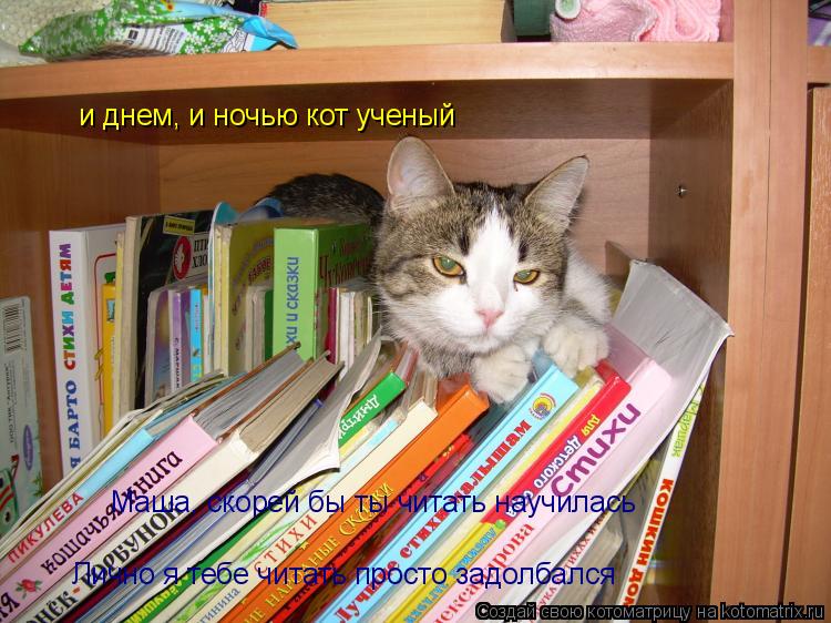 Котоматрица: и днем, и ночью кот ученый Маша, скорей бы ты читать научилась Лично я тебе читать просто задолбался