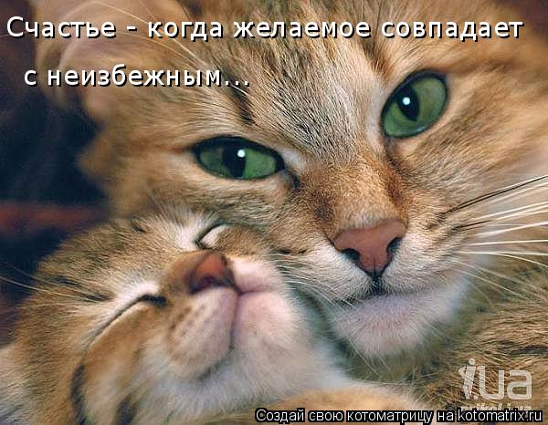 Котоматрица: Счастье - когда желаемое совпадает  с неизбежным...