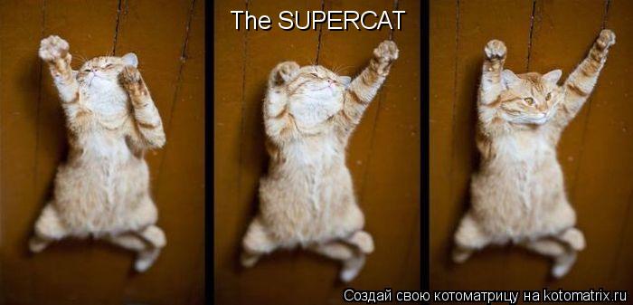 Котоматрица: The SUPERCAT