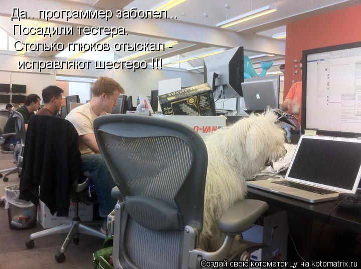 Котоматрица: Да.. программер заболел... Посадили тестера. Столько глюков отыскал - исправляют шестеро !!!