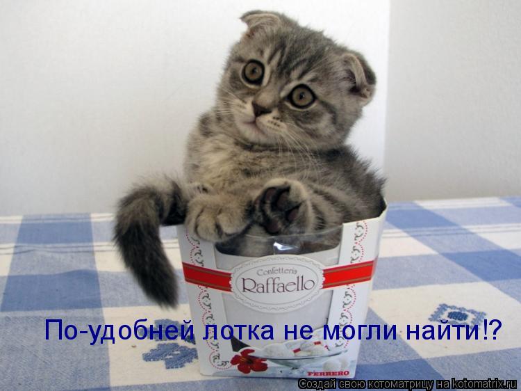 Котоматрица: По-удобней лотка не могли найти!?