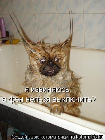 Котоматрица: я извиняюсь, а фен нельзя выключить?