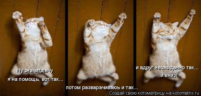 Котоматрица: Ну значит,лечу  я на помощь, вот так... потом разварачиваюь и так... и вдруг неожиданно так... и вниз(