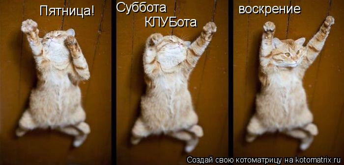 Котоматрица: Пятница! Суббота КЛУБота воскрение