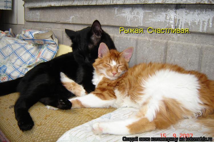 Котоматрица: Рыжая. Счастливая.