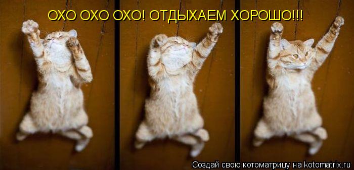 Котоматрица: ОХО ОХО ОХО! ОТДЫХАЕМ ХОРОШО!!!