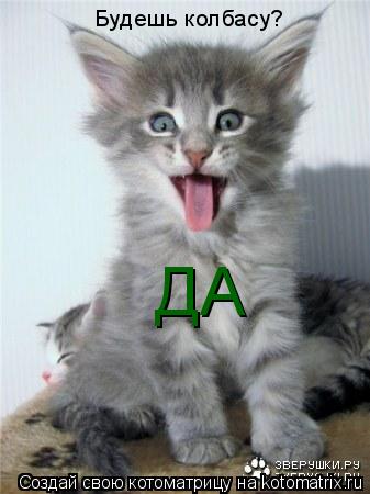 Котоматрица: Будешь колбасу? ДА